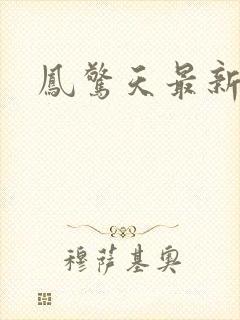 凤惊天最新章节