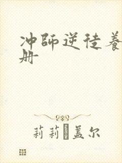 冲师逆徒养成手册