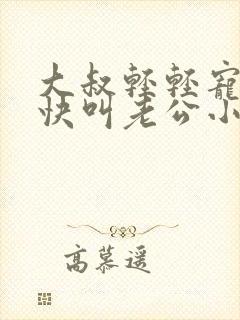 大叔轻轻宠宝贝快叫老公小说