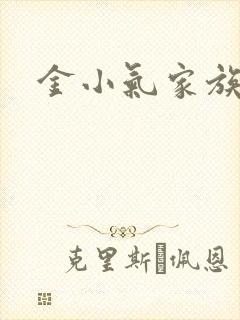 金小气家族小说