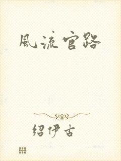 风流官路