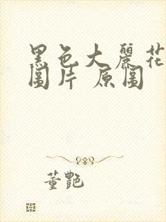 黑色大丽花真实图片 原图