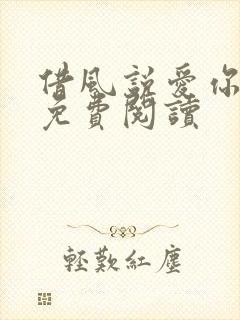 借风说爱你小说免费阅读