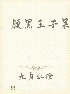 腹黑王子呆呆女