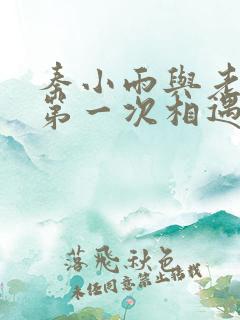 秦小雨与老旺的第一次相遇