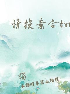 情投意合txt
