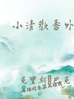 小清欢番外