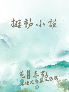 挺动小说