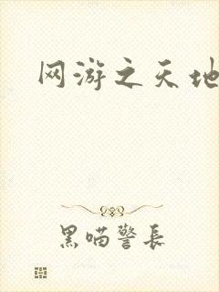 网游之天地下载