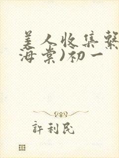 美人收集系统(海棠)初一