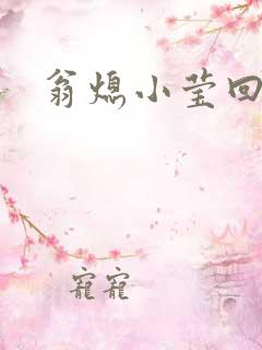 翁熄小莹回乡下