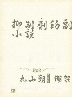 抑制剂的副作用小说