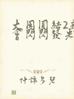 大团圆结2亲情会闪闪发光亲情会2