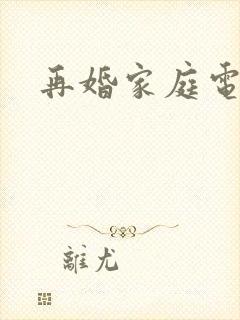 再婚家庭电视剧