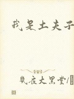 我是土夫子