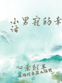 小男宠的幸福生活