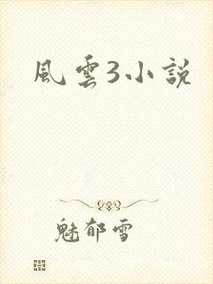 风云3小说