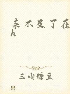 来不及了在车ch