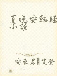 夏晚安韩经年的小说