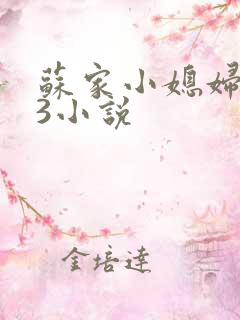 苏家小媳妇1V3小说