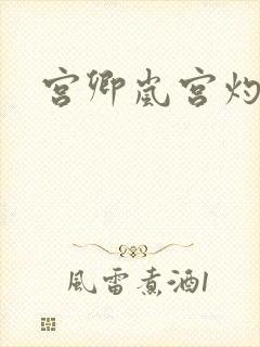 宫卿岚宫灼小说