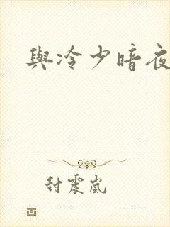 与冷少暗夜孽爱