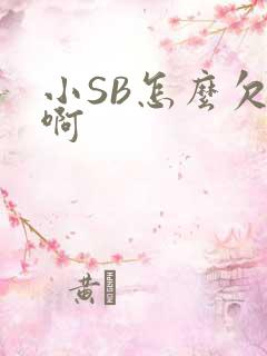 小SB怎么欠C啊