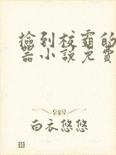 捡到校霸的遥控器小说免费阅读无弹窗