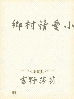 乡村情爱小说