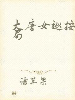 大唐女巡按大结局