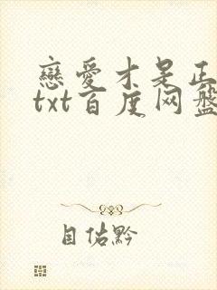 恋爱才是正经事txt百度网盘