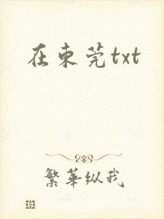 在东莞txt