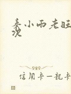 秦小雨老旺第一次