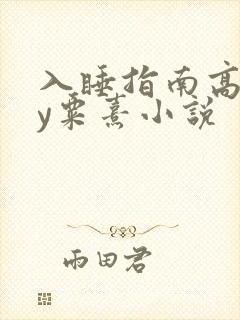 入睡指南高干by粟熹小说