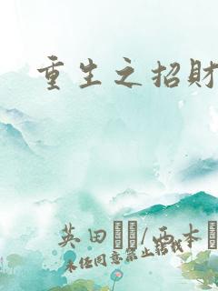 重生之招财进宝