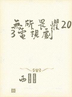 无所畏惧2023电视剧