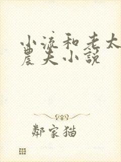 小流和老太69农夫小说