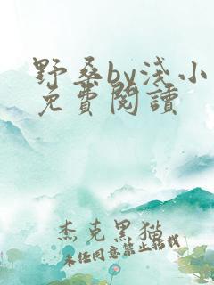 野桑by浅小说免费阅读