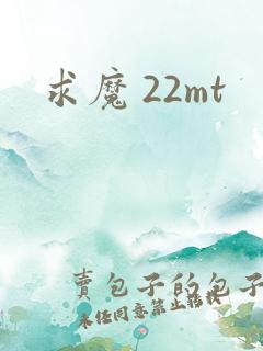 求魔 22mt