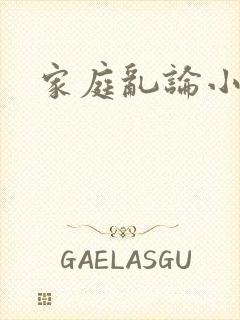 家庭乱论小说