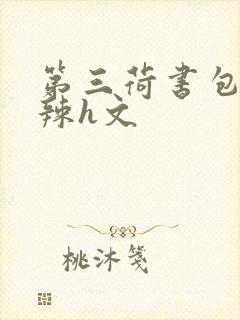 第三荷书包网高辣h文