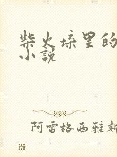 柴火垛里的疯狂小说