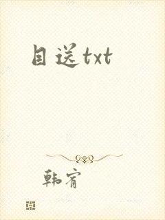 目送txt