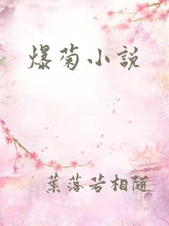 爆菊小说