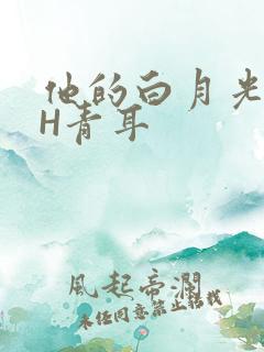 他的白月光HVH青耳