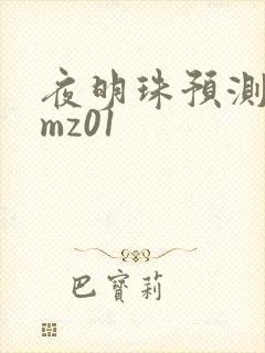 夜明珠预测 ymz01