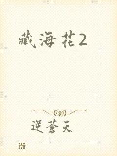 藏海花2
