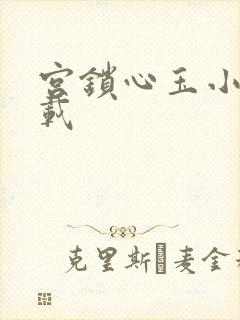 宫锁心玉小说下载