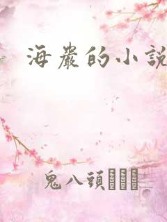 海岩的小说