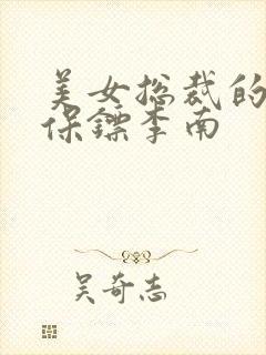 美女总裁的护花保镖李南